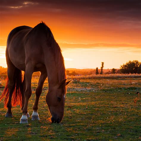 foto belle|Bellissime immagini e foto gratuite .